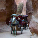 home image for Egypt Diary: Sharm El Sheikh and Petra